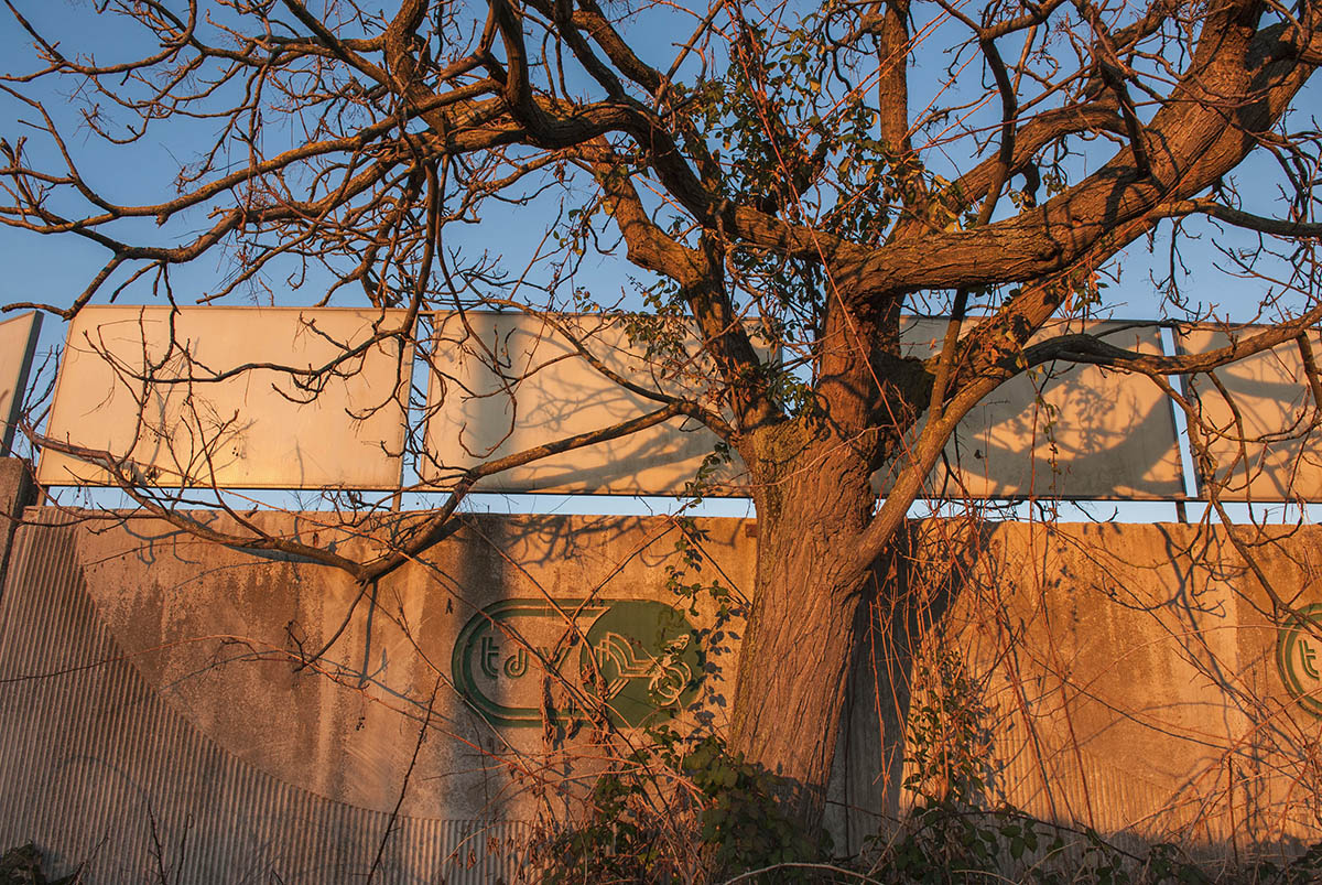 Roma, 19/02/2017: Ippodromo di Tor di Valle.© Andrea Sabbadini