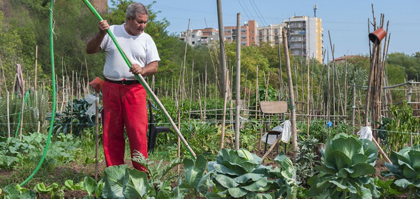 Coltiva l’Orto a Roma