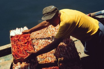 Pescatori in Sicilia