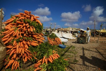 Suk, i mercati del Marocco