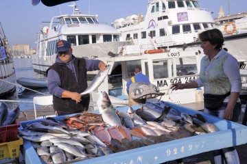 Expo 2015 – il mercato del pesce a Marsiglia