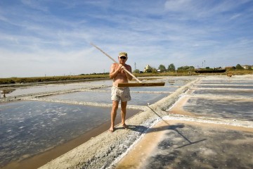 Expo 2015 – Le saline di Cervia