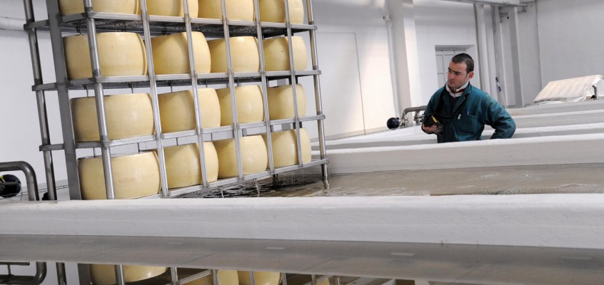 formaggio Grana, padano e fotovoltaico
