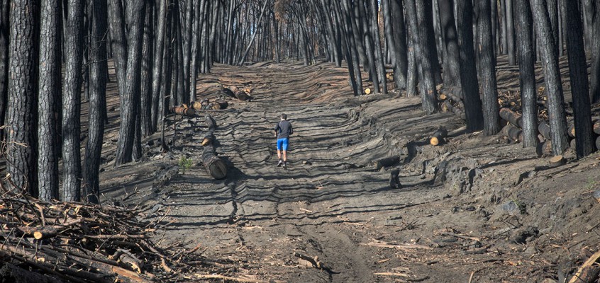 Rischio idrogeologico sul Vesuvio