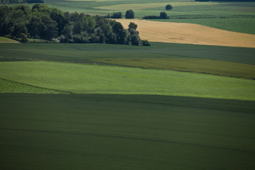 Duecento anni da Waterloo