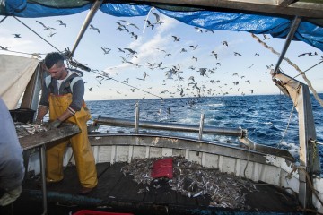 Pesca nel mare Adriatico