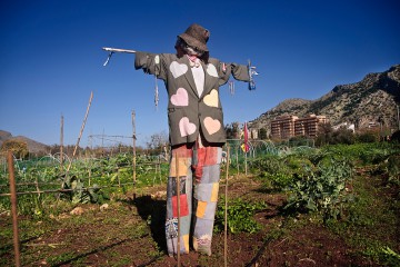 L’orto urbano condiviso a Palermo